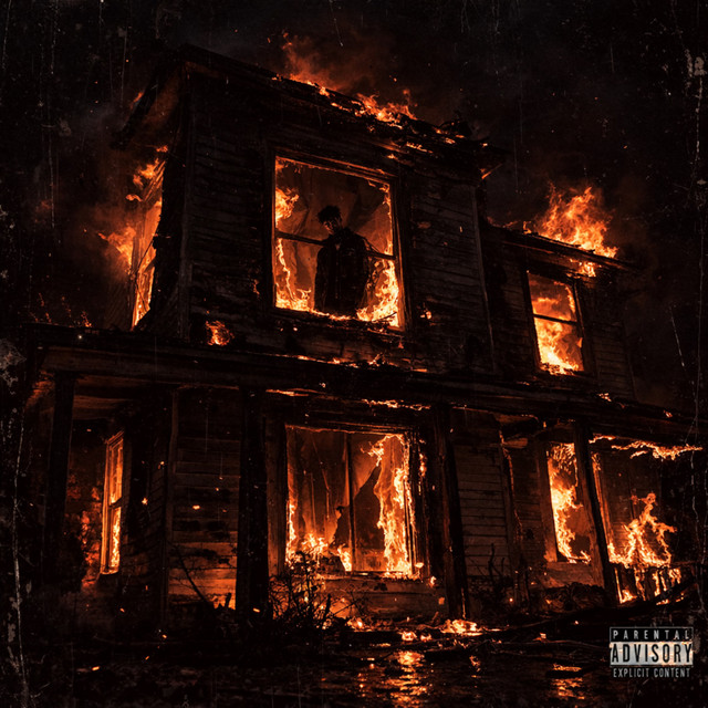 BIRDS cover artwork